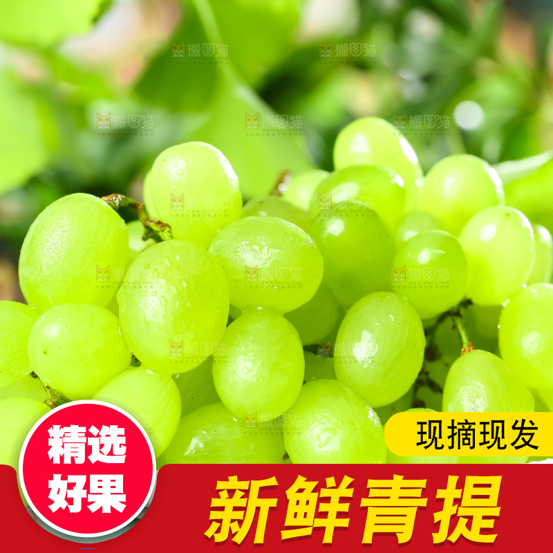 盘子里装着青提