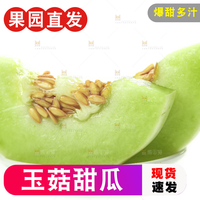 白底上摆放着山东玉菇甜瓜