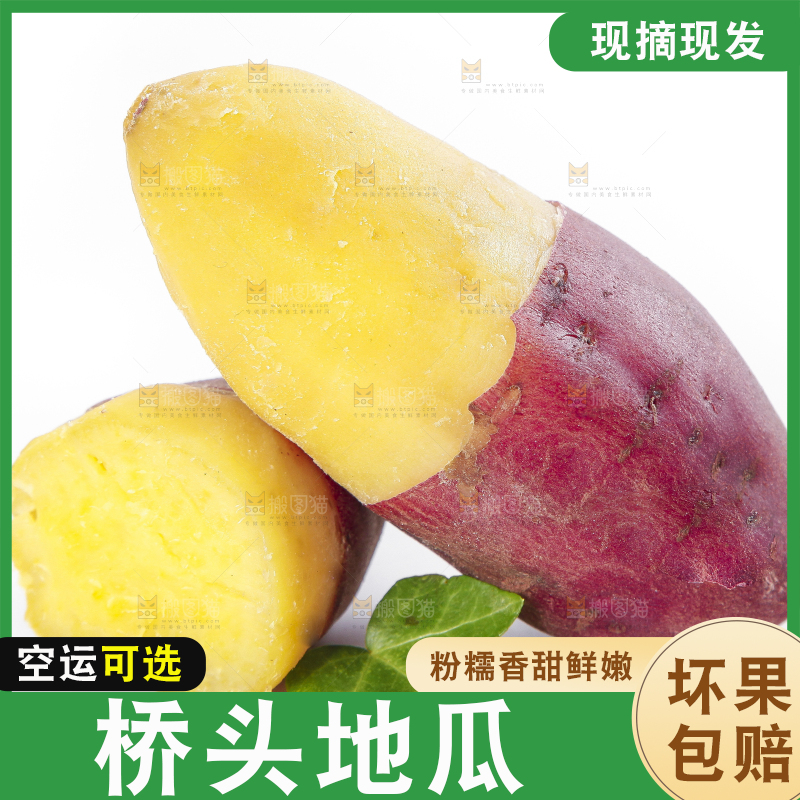 白底上放着桥头地瓜