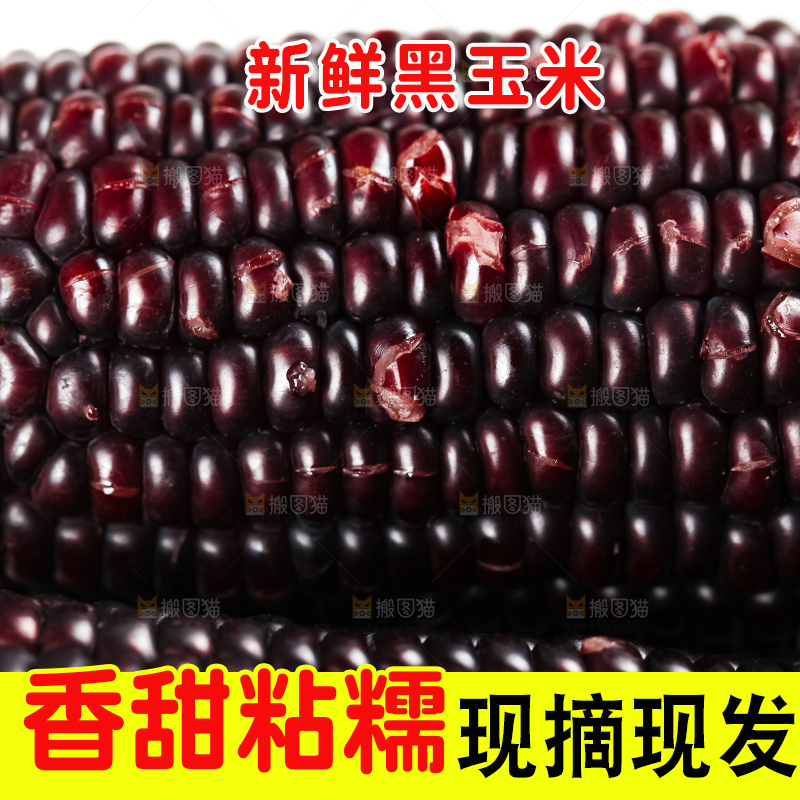 盘子里放着紫玉米