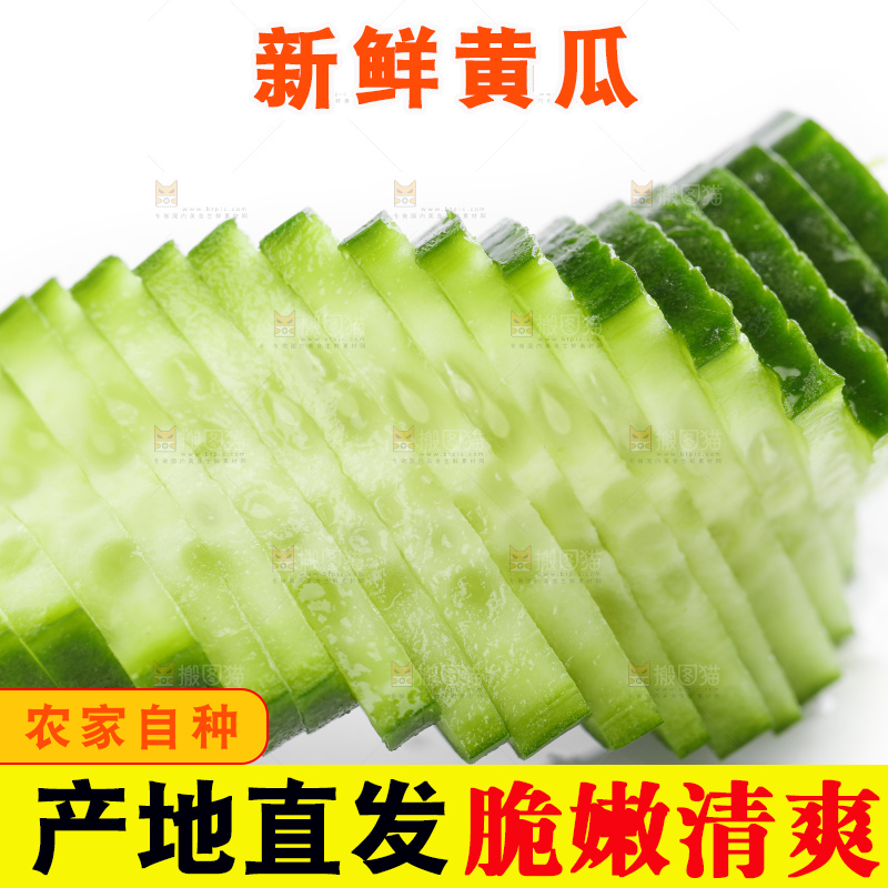 白底上摆放着小青瓜