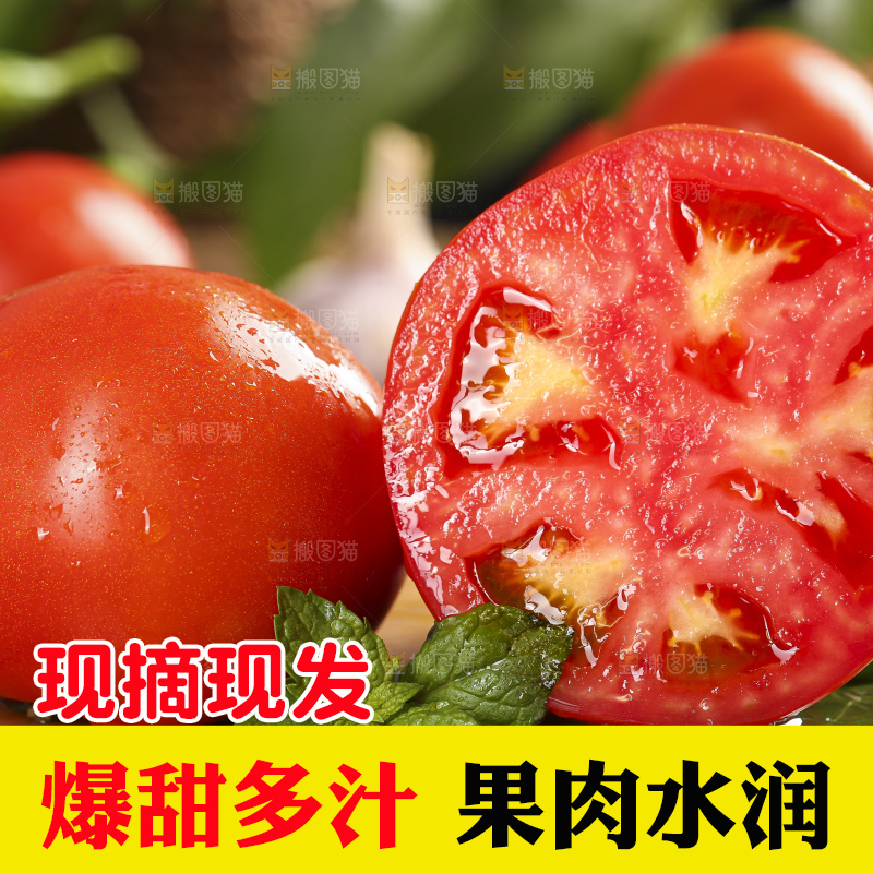 深底上的沙瓤西红柿