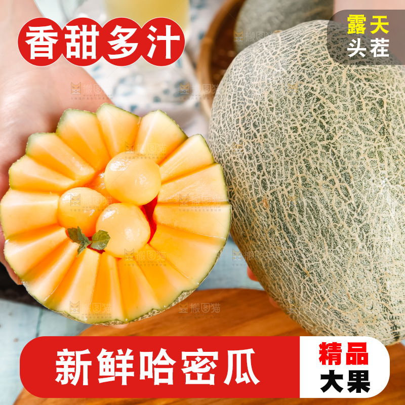 手里拿着网纹瓜
