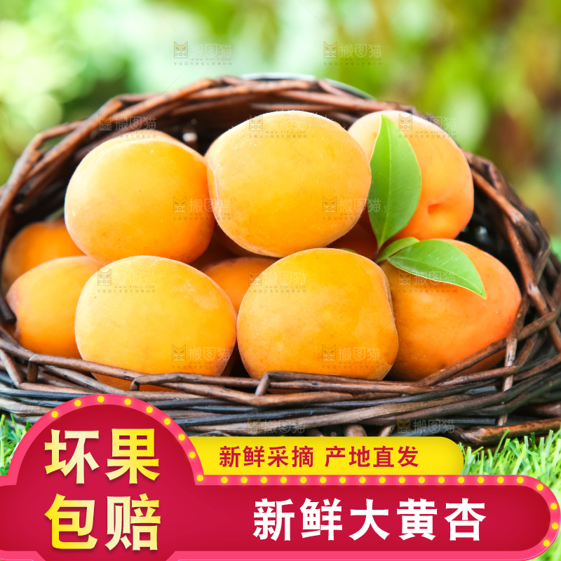 草地上放着黄杏