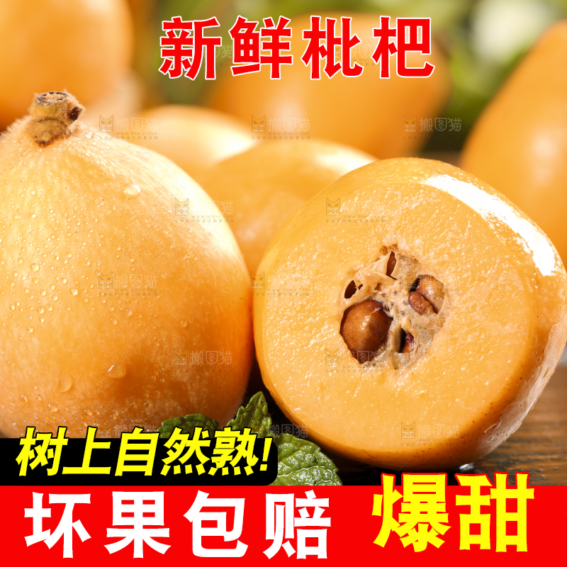 黑底上放着枇杷果