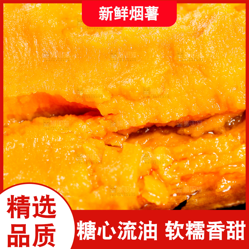 黑底上的山东烟薯