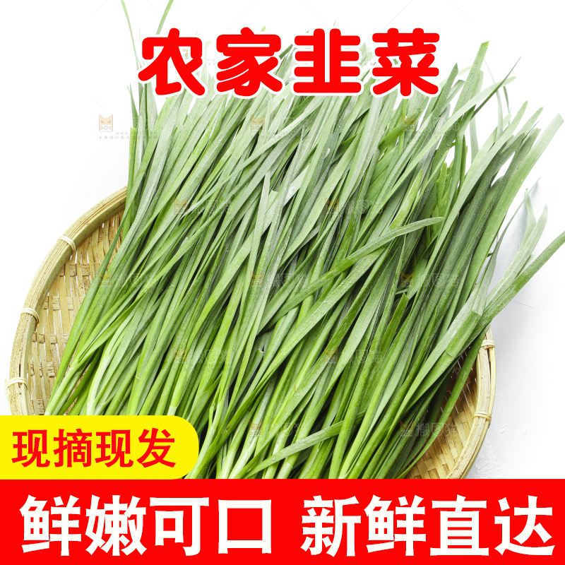 篮子里装着嫩韭菜