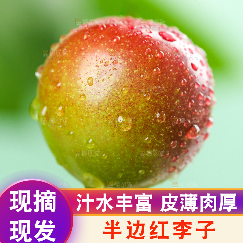 手里拿着脆红李