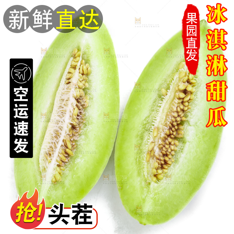 白底上摆放着山东玉菇甜瓜
