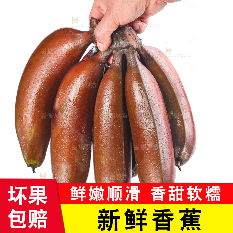 白底上的红皮美人蕉