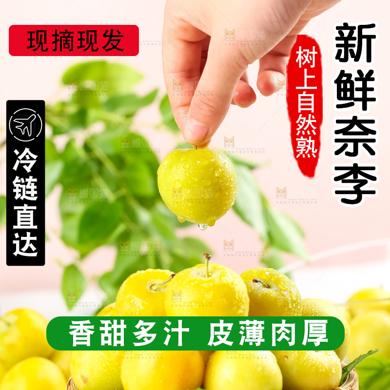 亮底上的九峰山黄金奈李