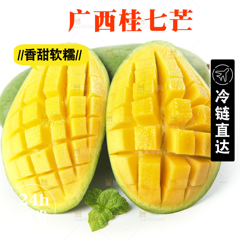 白底上放着青皮桂七芒