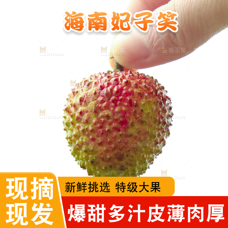 手里拿着妃子笑荔枝