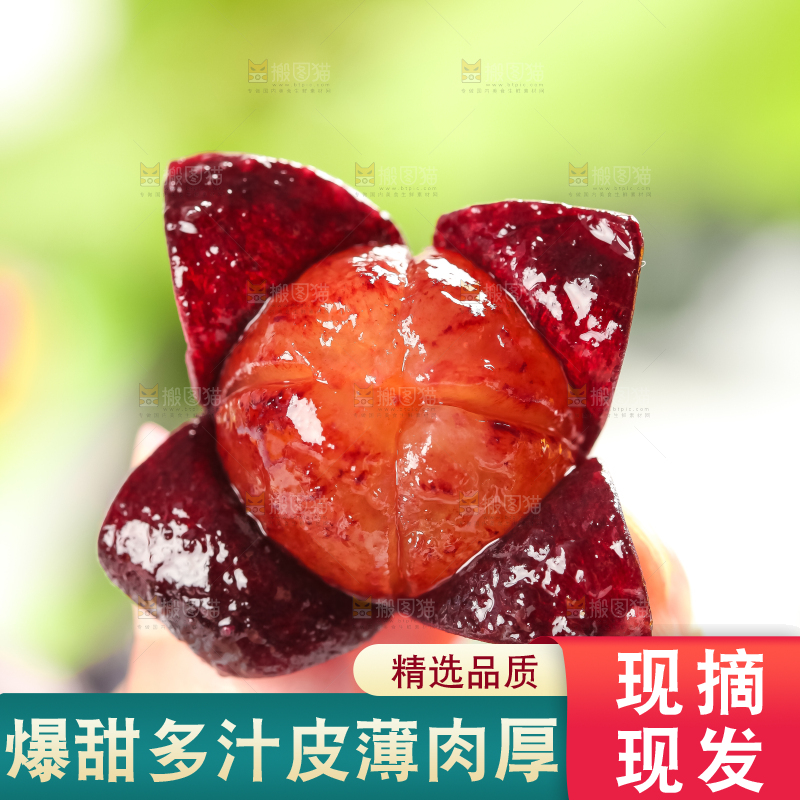 夏黑葡萄