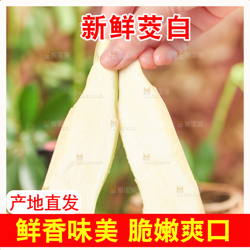 手里拿着湖北新鲜茭白