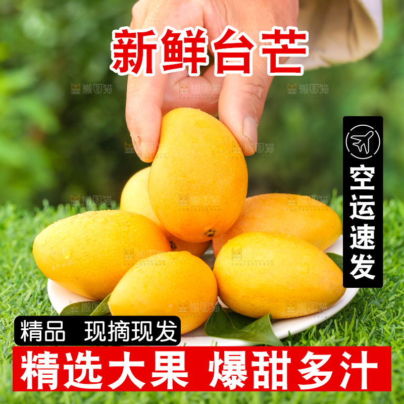 盘子里的小台农芒果