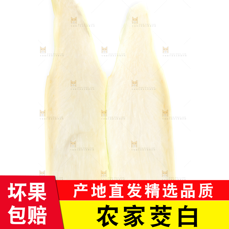 白底上的茭白