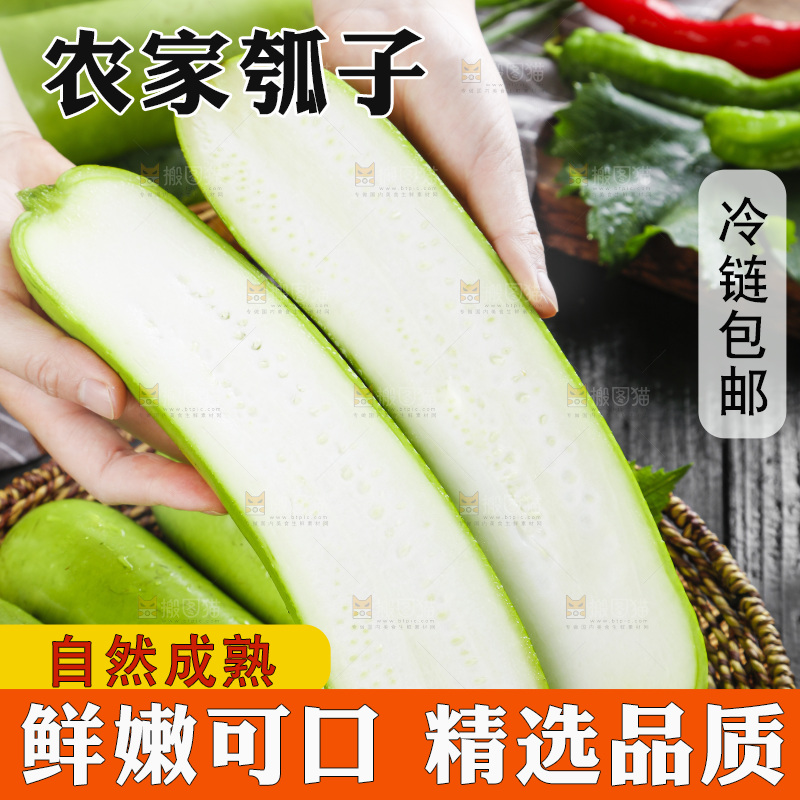 手里拿着瓠瓜