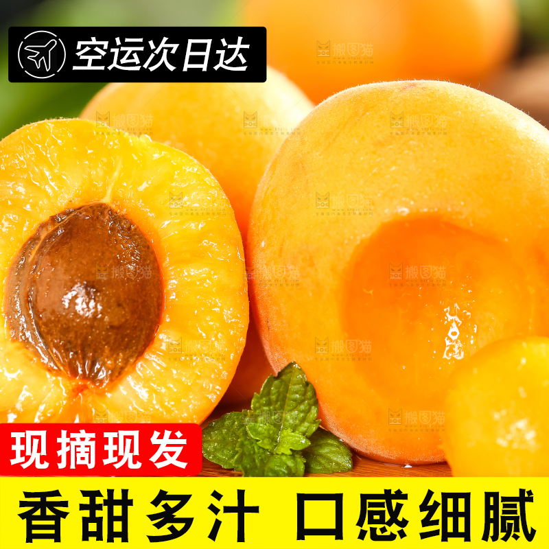木底上摆放着新鲜大黄杏