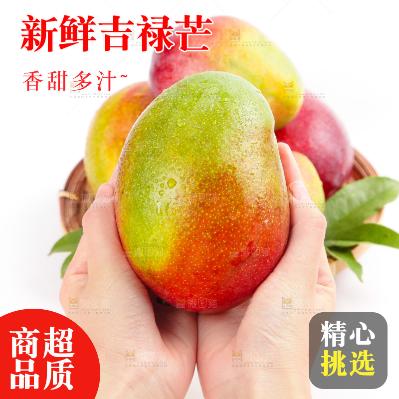 白底上的四川吉禄芒