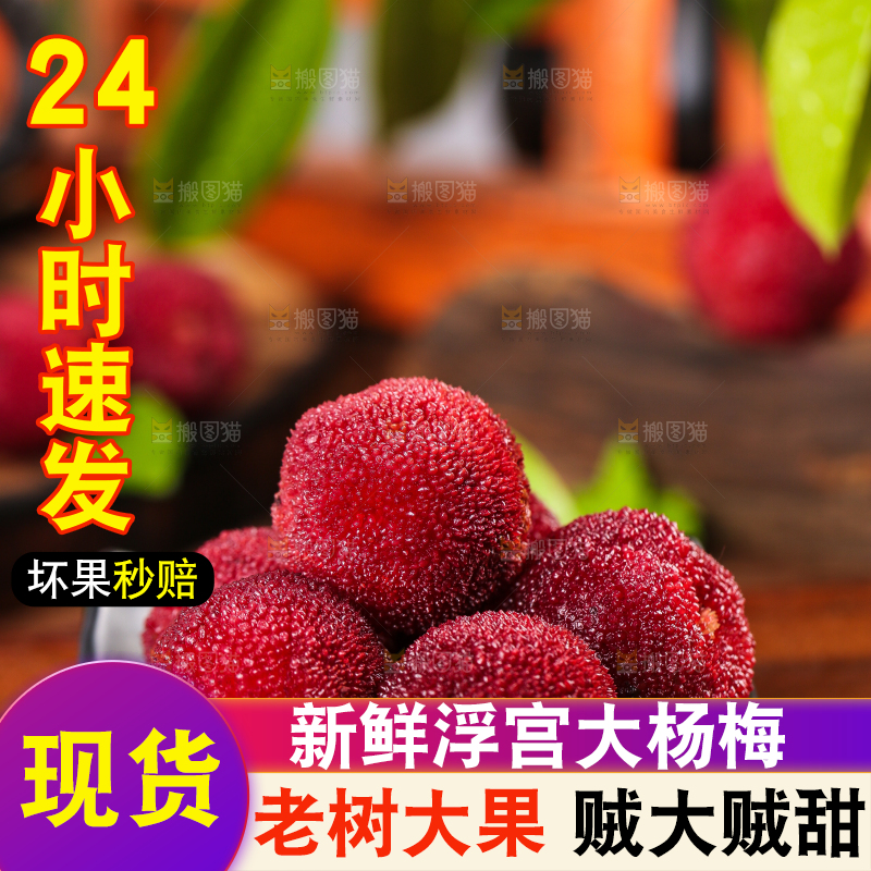 碟子里的仙居杨梅