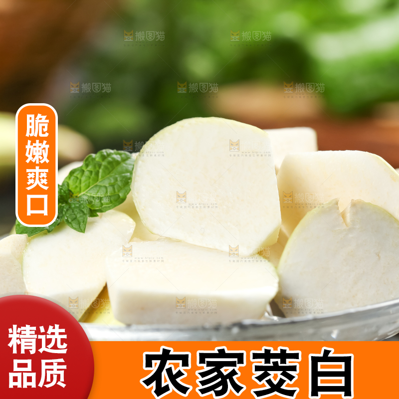 石板上的云南茭白