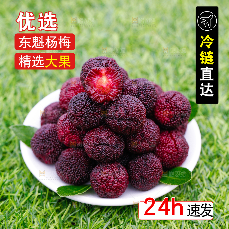 盘子里装着杨梅