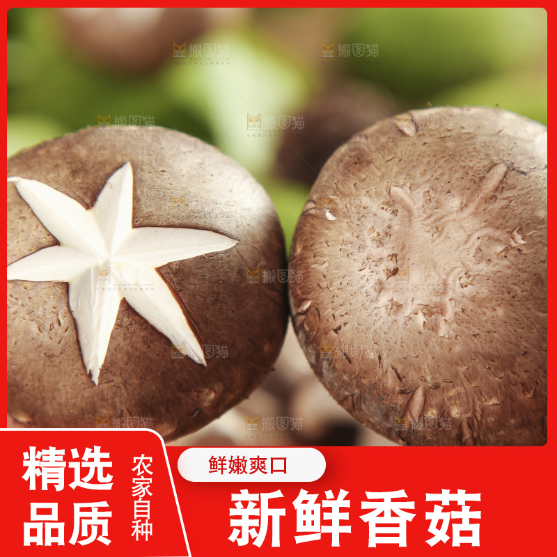 手里拿着香菇