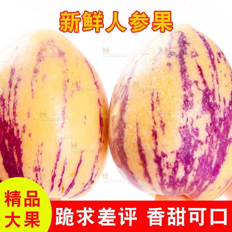 手里拿着甘肃民勤人参果