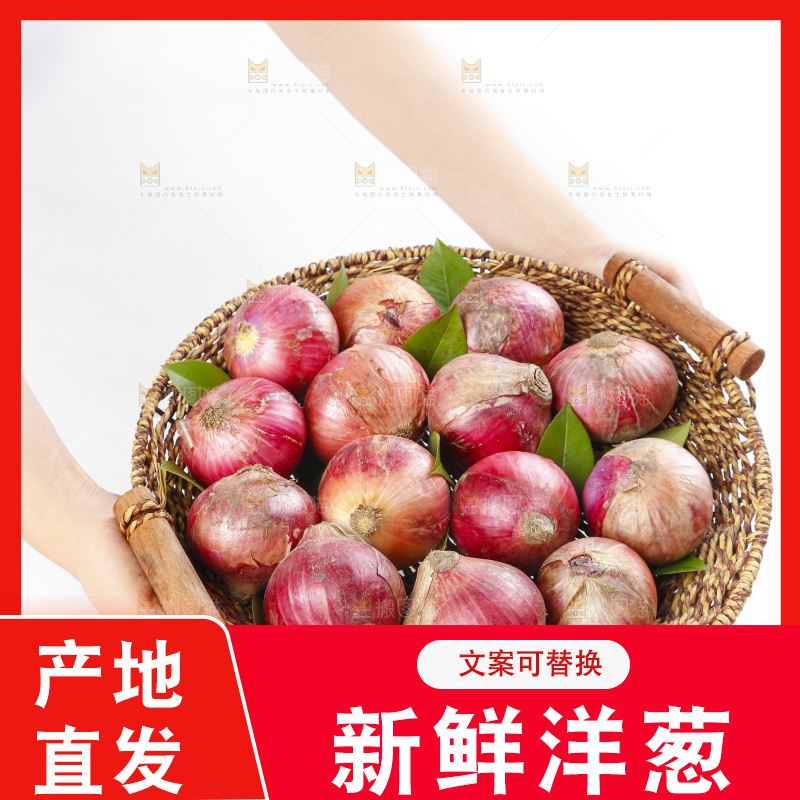 篮子里的新鲜洋葱