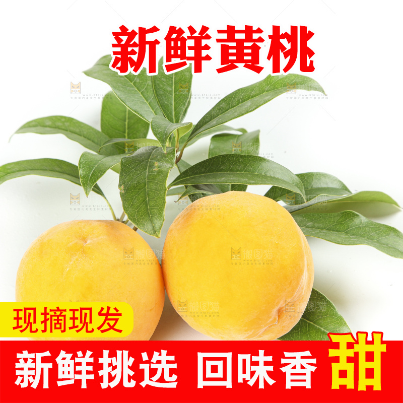 白底上的黄肉桃