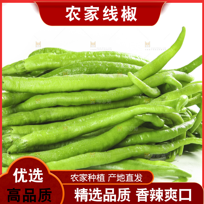 白底上的新鲜青辣椒