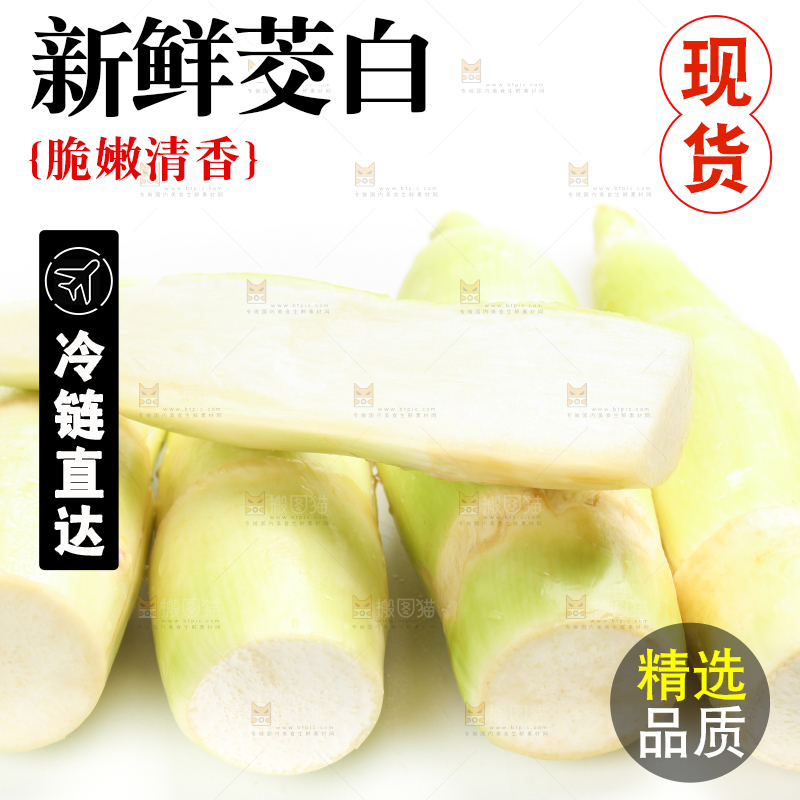 白底上的茭白