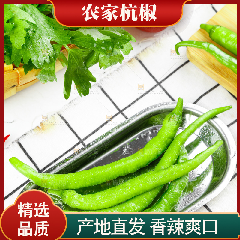 盘子里装着青杭椒