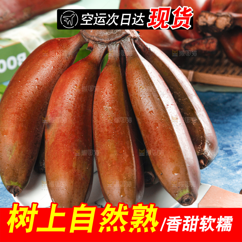 蓝底上摆放着红皮美人蕉