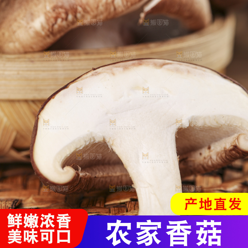 木底上摆放着菌菇