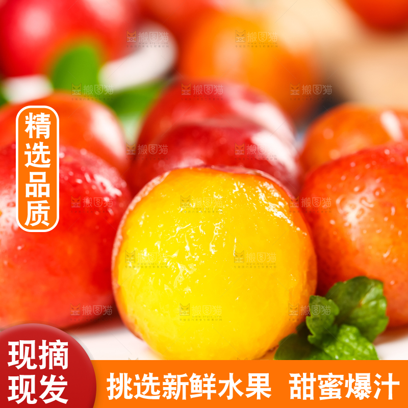 白底上摆放着土李子