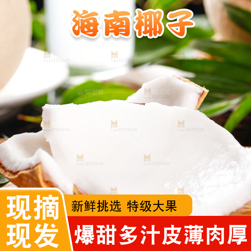 木底上摆放着海南椰子