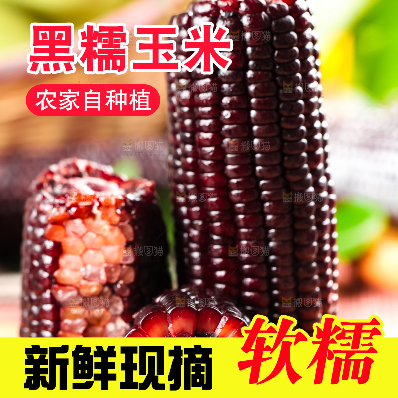 木底上摆放着黑玉米