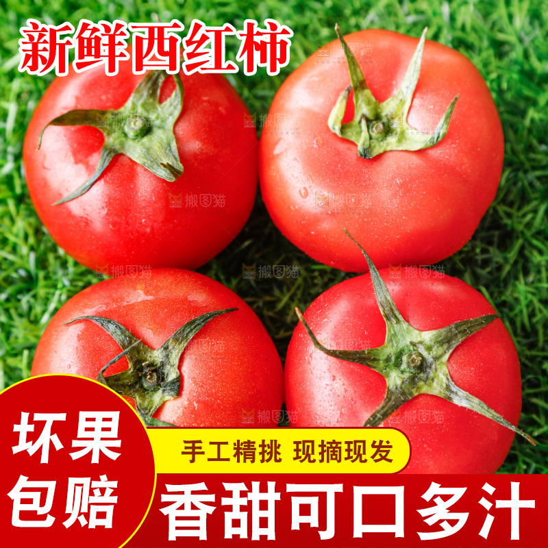 草地上的一堆新鲜西红柿