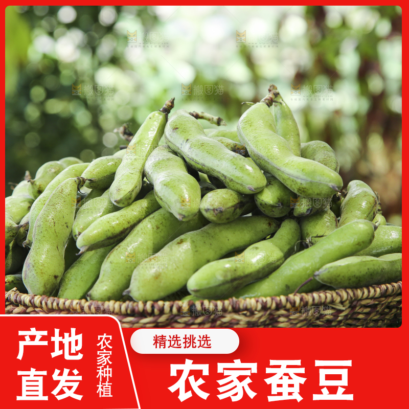 绿草地上放着一篮生蚕豆