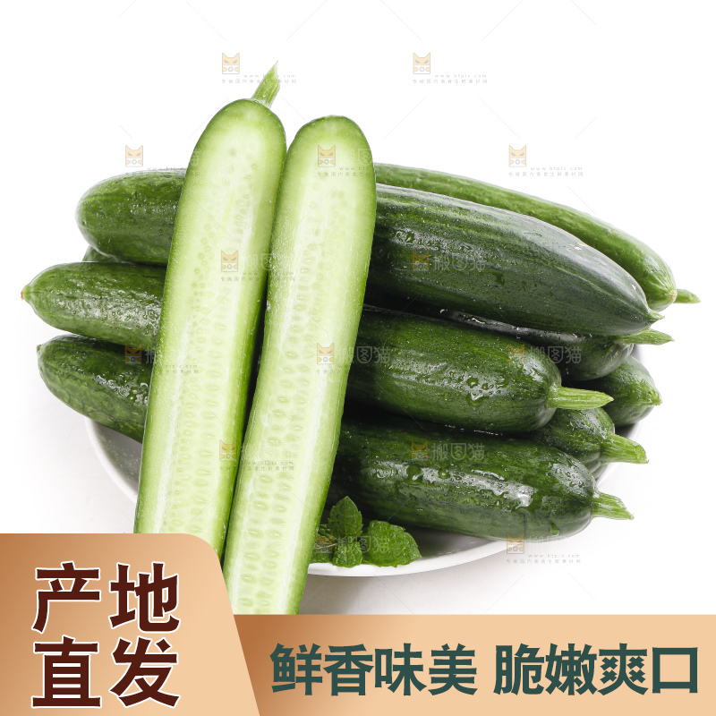盘里装着新鲜黄瓜