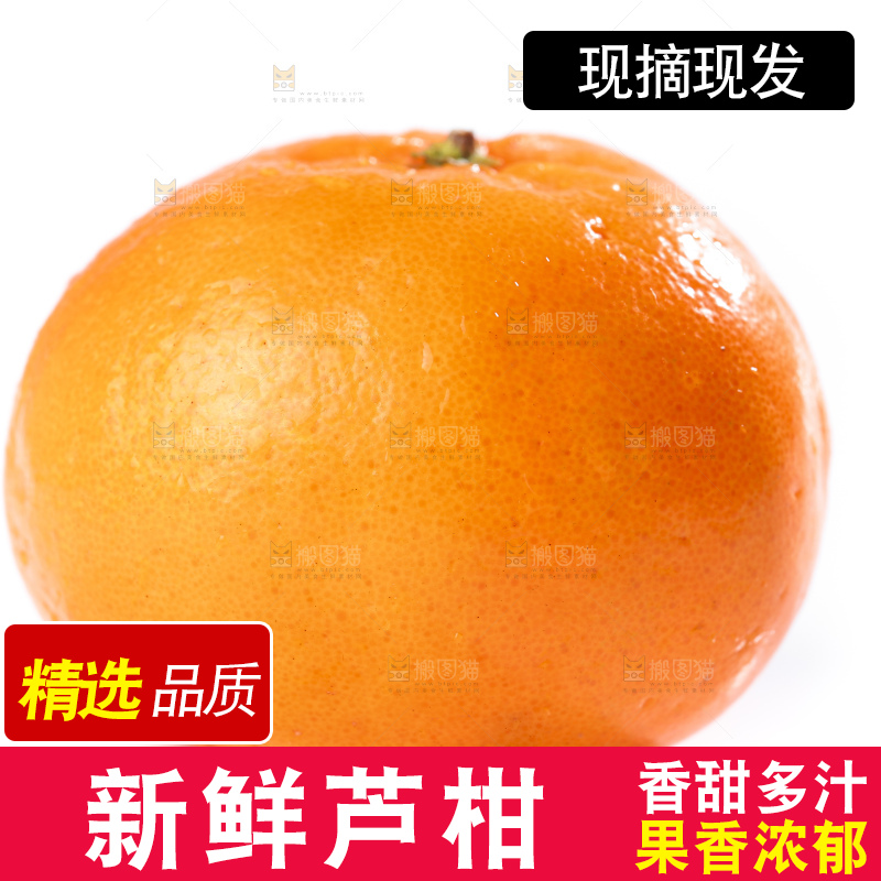 白底上的芦柑