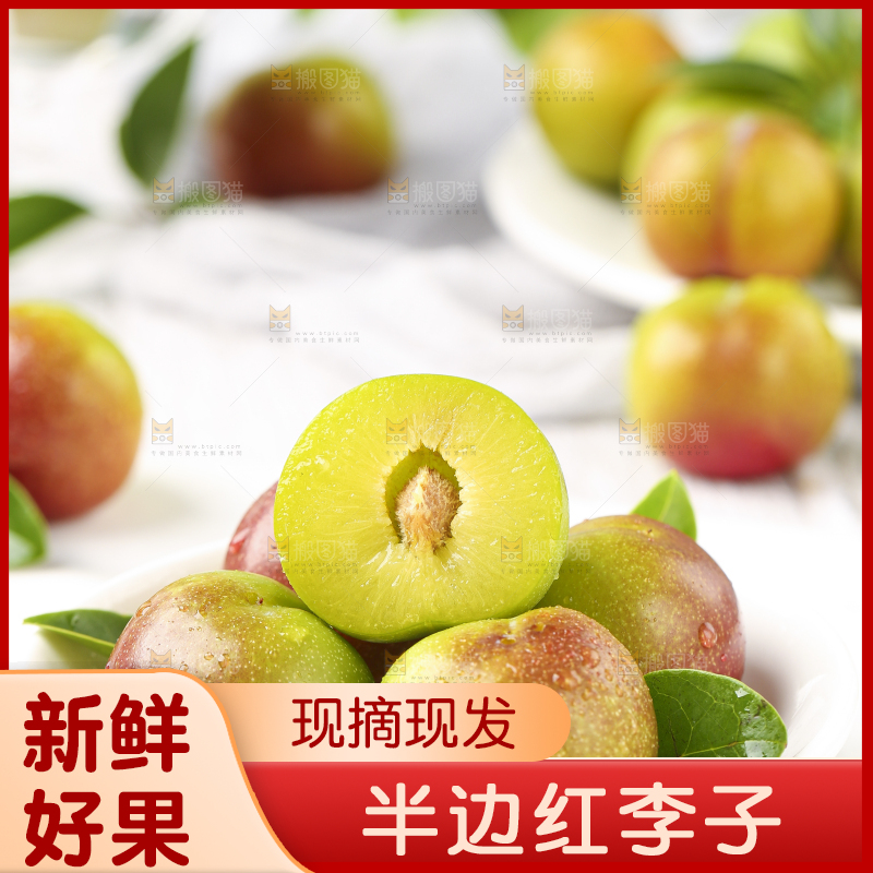 石板上摆放着四川茵红脱骨李