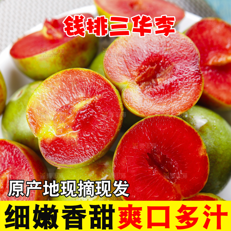 盘子里装着钱排三华李