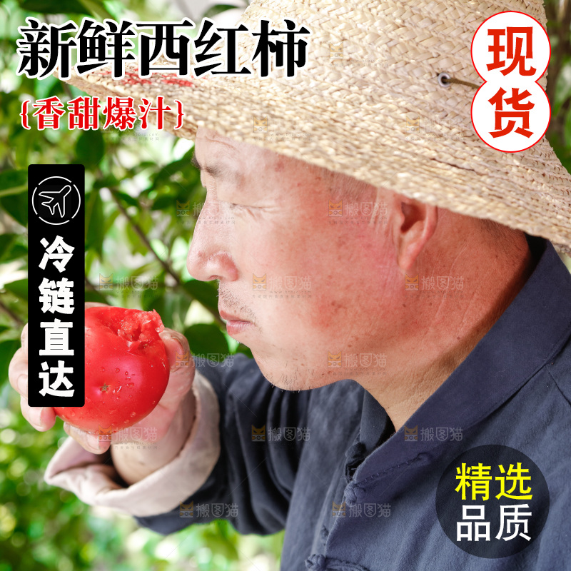 农民手里拿着普罗旺斯西红柿