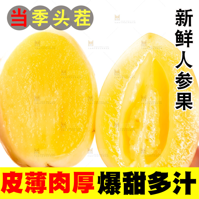 手里拿着甘肃民勤人参果