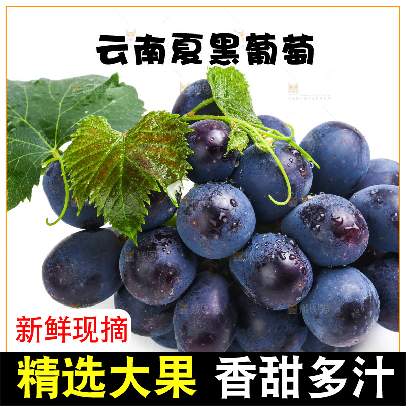 白底上的夏黑