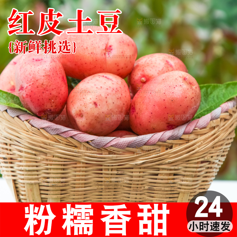 篮子里装着红皮黄心土豆
