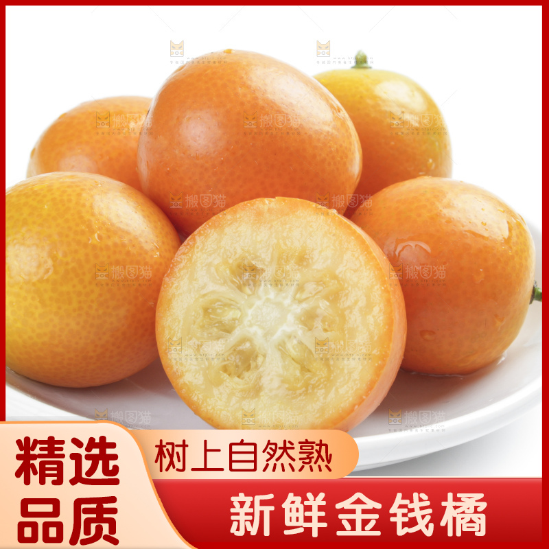 白底上的金钱橘